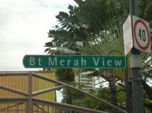 Blk 125A Bukit Merah View (S)152125 #91782